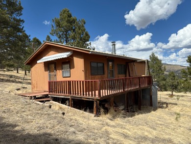 Eagle Nest Lake Home For Sale in Eagle Nest New Mexico