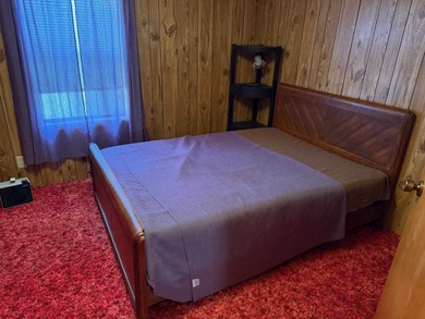 What a view! This 4-bedroom, 1-bath cabin is tucked away on the - photo 2