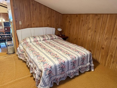 What a view! This 4-bedroom, 1-bath cabin is tucked away on the - photo 8