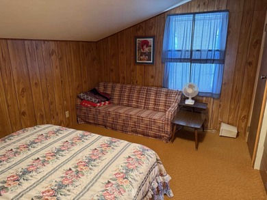 What a view! This 4-bedroom, 1-bath cabin is tucked away on the - photo 9