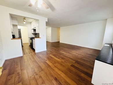 Renovated 2-bedroom co-op in Downtown Flushing-move-in ready - photo 9