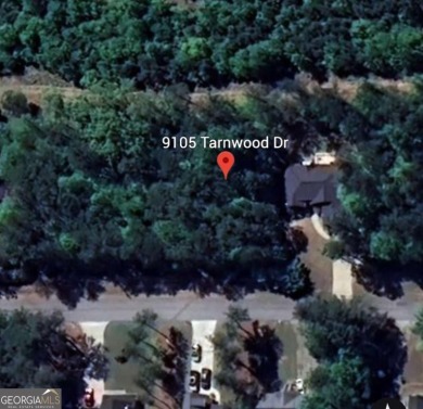 Lake Lot For Sale in Villa Rica, Georgia