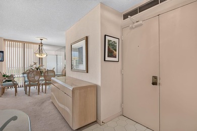 What an Amazing Listing! Wow. Direct Intracoastal. Ocean view - photo 23