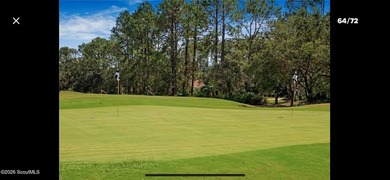 Come enjoy coastal living in St. Marys, GA in this 3 bedroom, 2 - photo 34