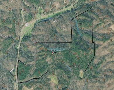 Lake Acreage For Sale in Ellijay, Georgia