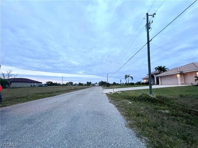 Beautiful lot with an eastern rear exposure off of the Emperor - photo 3