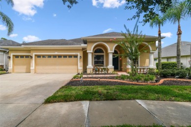 Lake Home For Sale in Tampa, Florida