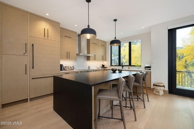 Discover the opportunity to own a luxurious townhome in Avon's - photo 5