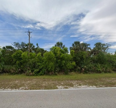 OVERSIZED WATERFRONT LOT located in Port Charlotte. NO HOA FEES! - photo 3