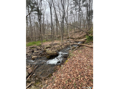 Rare opportunity to own a unique property with exceptional - photo 15