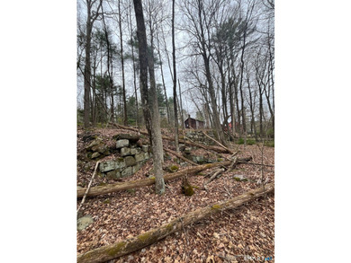 Rare opportunity to own a unique property with exceptional - photo 16
