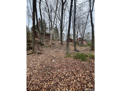 Rare opportunity to own a unique property with exceptional - photo 17