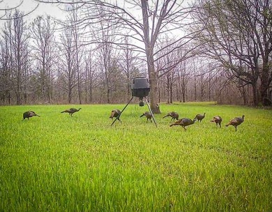 It's almost unheard of to find solid duck, deer, AND turkey - photo 17