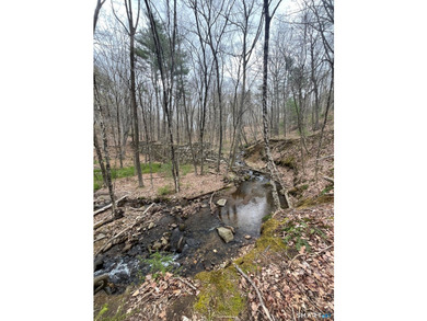 Rare opportunity to own a unique property with exceptional - photo 18