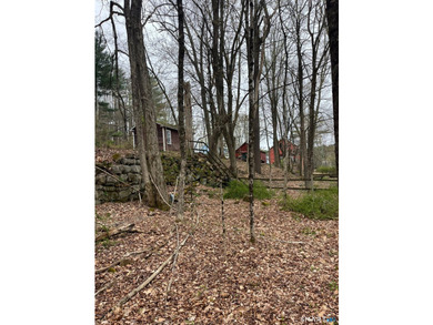 Rare opportunity to own a unique property with exceptional - photo 20