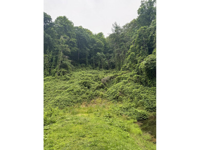 (private lake, pond, creek) Acreage For Sale in Jackson Kentucky