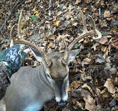 It's almost unheard of to find solid duck, deer, AND turkey - photo 21