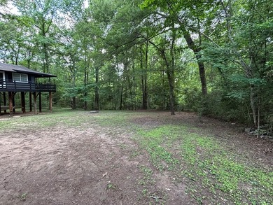 Private East Texas retreat nestled among the trees on 1.24 - photo 3
