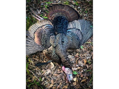 It's almost unheard of to find solid duck, deer, AND turkey - photo 24
