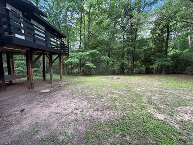 Private East Texas retreat nestled among the trees on 1.24 - photo 4