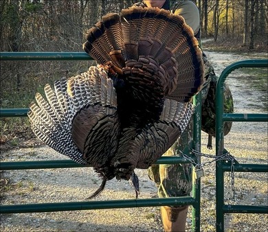 It's almost unheard of to find solid duck, deer, AND turkey - photo 26