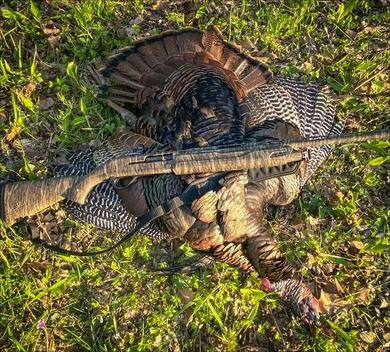 It's almost unheard of to find solid duck, deer, AND turkey - photo 28