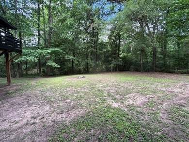Private East Texas retreat nestled among the trees on 1.24 - photo 10
