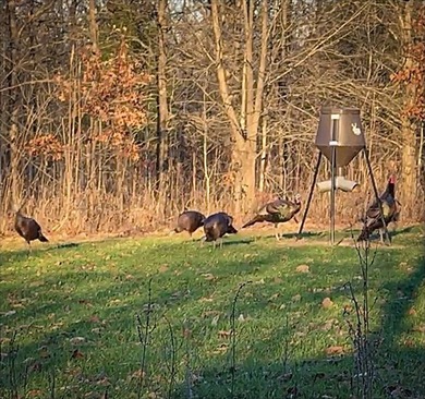 It's almost unheard of to find solid duck, deer, AND turkey - photo 32