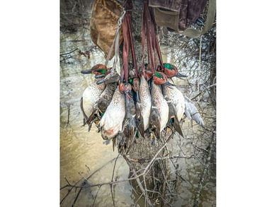 It's almost unheard of to find solid duck, deer, AND turkey - photo 38