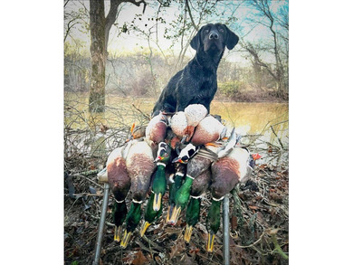 It's almost unheard of to find solid duck, deer, AND turkey - photo 39