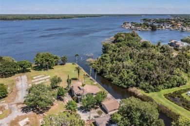 Lake Tarpon Home For Sale in Palm Harbor Florida