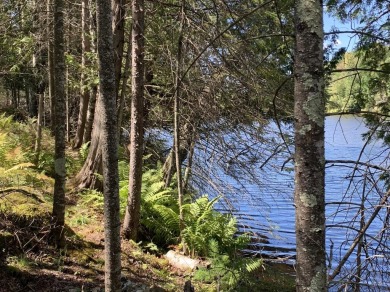 Lake Lot For Sale in Eagle River, Wisconsin