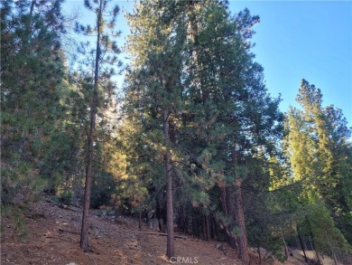Lake Lot For Sale in Lake Arrowhead, California