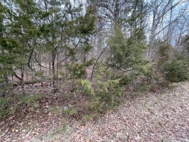 Table Rock Lake - Carroll County Lot For Sale in Holiday Island Arkansas