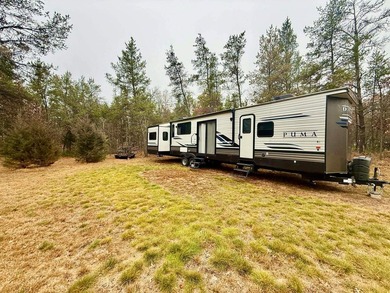 Petenwell Lake  Home For Sale in Nekoosa Wisconsin