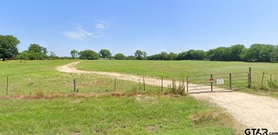 Lake Home For Sale in Eustace, Texas