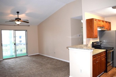 Beautiful upgraded 2 bedroom, 2 bath condo with huge closets and - photo 6