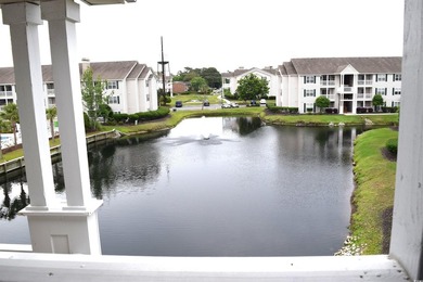 Beautiful upgraded 2 bedroom, 2 bath condo with huge closets and - photo 7