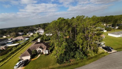 Discover a fantastic opportunity with this .23-acre wooded lot - photo 10