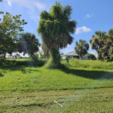 Burnt Store Lakes  Lot For Sale in Punta Gorda Florida