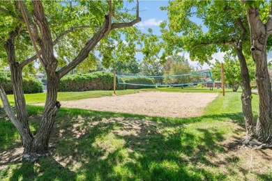 Six bedrooms, 3,356 finished square feet, a 1/3-acre cul-de-sac - photo 41
