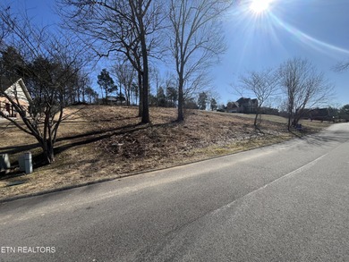 Build your dream home on this cleared, lake-view lot in the - photo 3