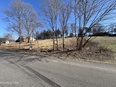 Build your dream home on this cleared, lake-view lot in the - photo 4