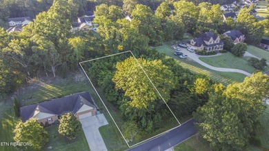 Build your dream home on this cleared, lake-view lot in the - photo 5
