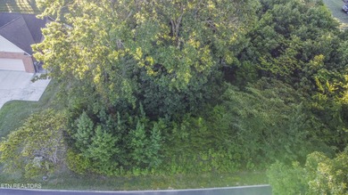 Build your dream home on this cleared, lake-view lot in the - photo 6