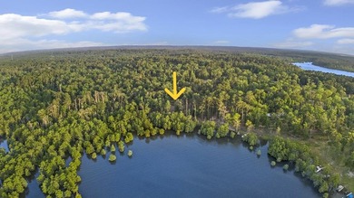**Unicorn Paradise on Lake Sam Rayburn** Discover a rare gem - photo 1