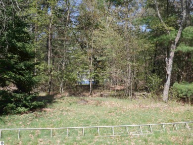 (private lake, pond, creek) Lot For Sale in South Branch Michigan