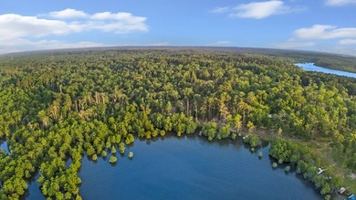 **Unicorn Paradise on Lake Sam Rayburn** Discover a rare gem - photo 2