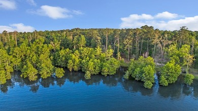 **Unicorn Paradise on Lake Sam Rayburn** Discover a rare gem - photo 5