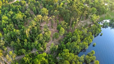 **Unicorn Paradise on Lake Sam Rayburn** Discover a rare gem - photo 6